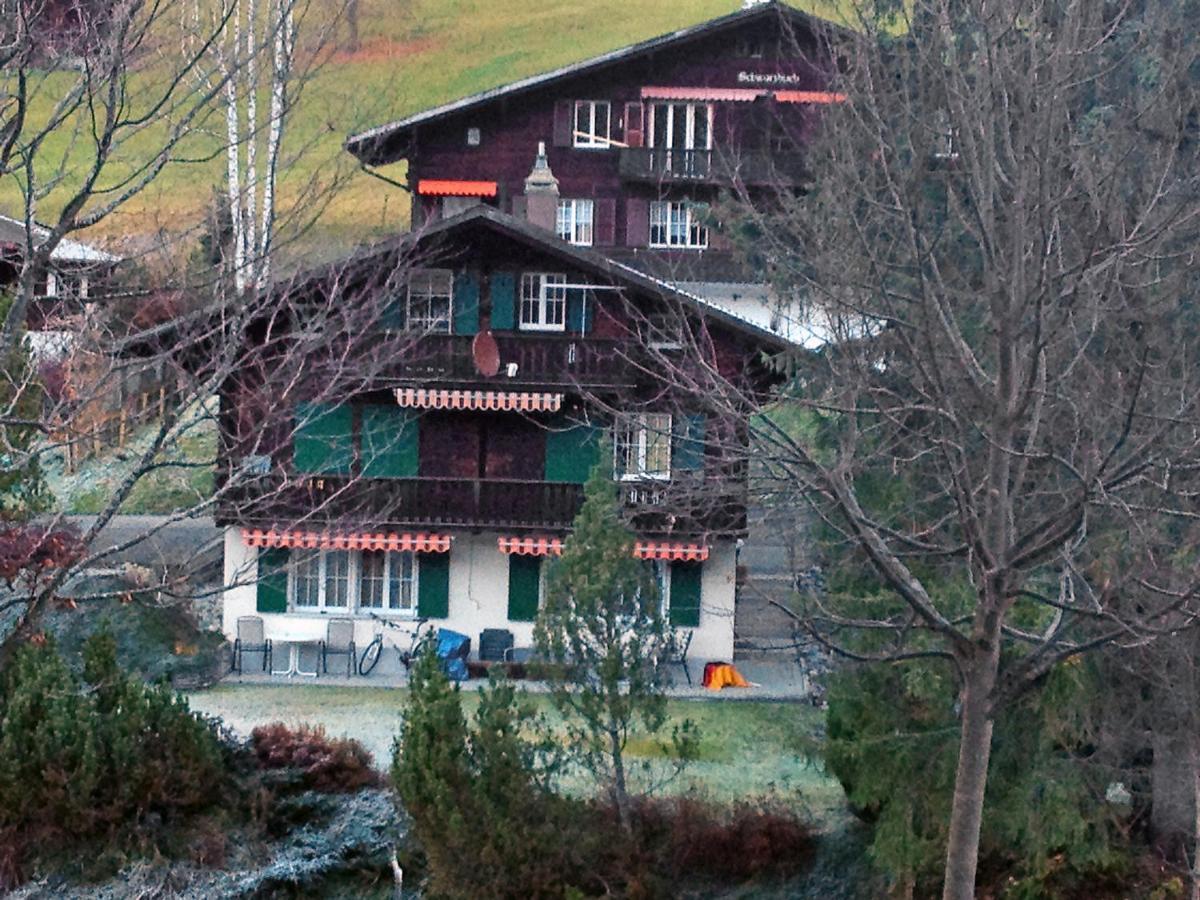 Apartment Chalet Spassvogel By Interhome Grindelwald Kültér fotó