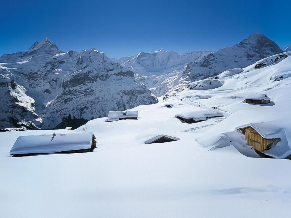 Apartment Chalet Spassvogel By Interhome Grindelwald Kültér fotó